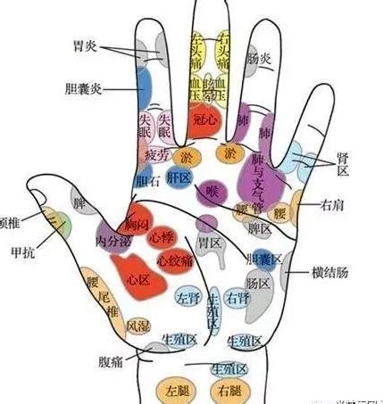 手指代表的器官|看五指，知五脏，手指对应人体各个系统，赶快对照看看自己的手。